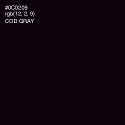 #0C0209 - Cod Gray Color Image